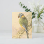 Vintage Vogelpostkarte Postkarte (Stehend Vorderseite)