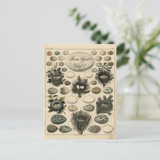 Vintage Vogelschutznest - Eieranzeige - Postkarte (Stehend Vorderseite)