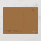 Vintage Vogelschutznest - Eieranzeige - Postkarte (Rückseite)