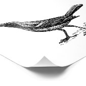 Vintage Vogelskizze Fotodruck (Ecke)