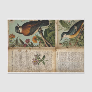 Vintage-Vogeltagebuch Seidenpapier