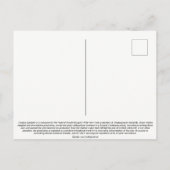 Vintage Voodoo-Macbethpostkarte 1936 Ankündigungspostkarte (Rückseite)