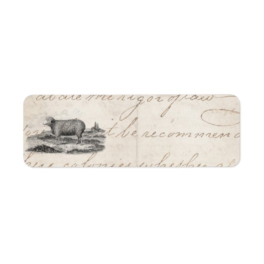 Vintage Vorlage des Merino-Schafs der 1800er Jahre (Vorne)