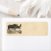 Vintage Vorlage für die elofarbene Abbildung 1800 (Insitu)