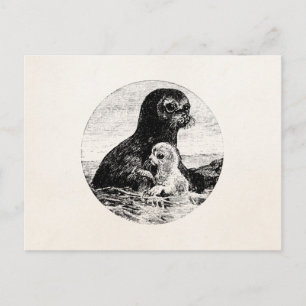Vintage Vorlage Sattelrobbenmutter mit Jungtier Postkarte