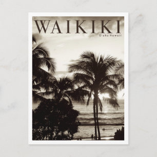 Vintage Waikiki Hawaiian-Palme Ankündigungspostkarte