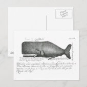 Vintage-Wal-Design Postkarte (Vorne/Hinten)