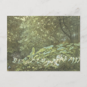 Vintage-Wald-Feenkarten Postkarte