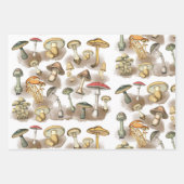Vintage Wald-Pilze Geschenkpapier Set (Vorderseite)