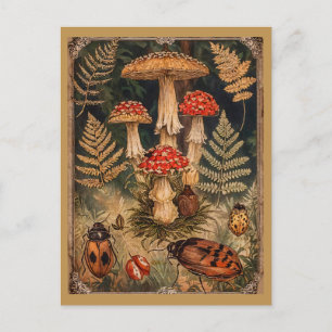 Vintage Waldmushrooms Herbstgrüße Postkarte