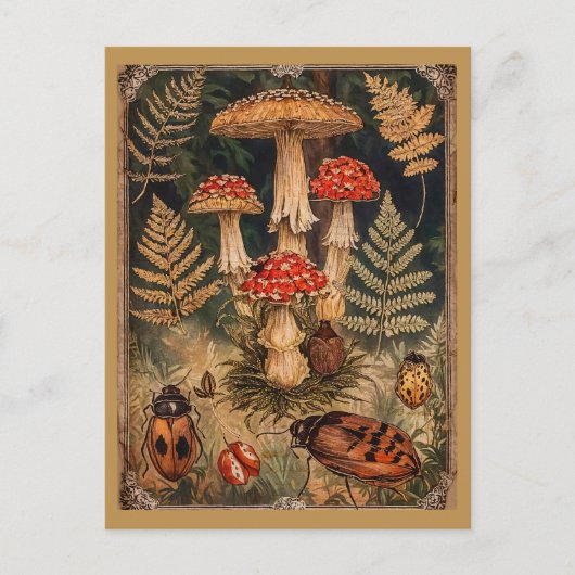Vintage Waldmushrooms Herbstgrüße Postkarte (Vorderseite)