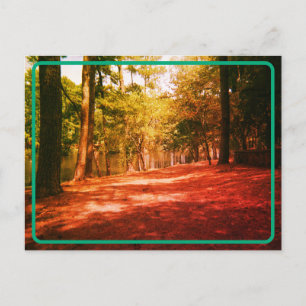 Vintage Waldpostkarte Postkarte