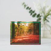 Vintage Waldpostkarte Postkarte (Stehend Vorderseite)