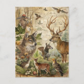 Vintage Waldtiere Wolf Deer Nature Postkarte (Vorderseite)