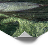 Vintage Wale, Meerestiere Poster (Ecke)