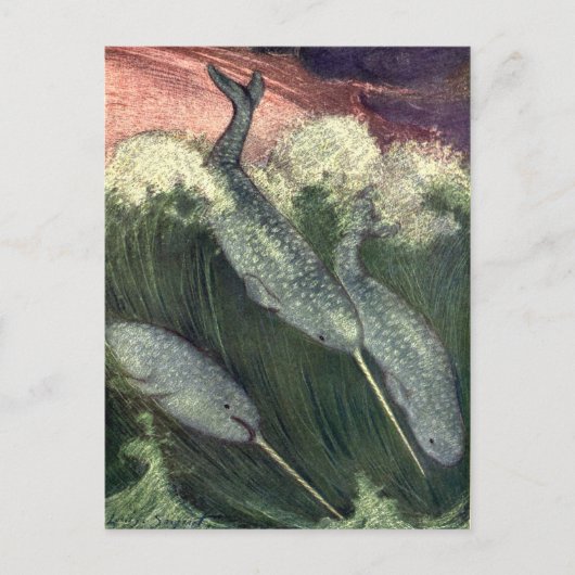 Vintage Wale, Meerestiere Postkarte (Vorderseite)