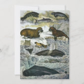 Vintage Wale, Siegel und Walrusse, Meerestiere Einladung (Vorderseite)