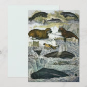 Vintage Wale, Siegel und Walrusse, Meerestiere Einladung (Vorne/Hinten)