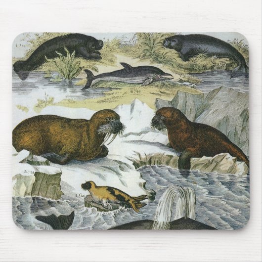 Vintage Wale, Siegel und Walrusse, Meerestiere Mousepad (Vorne)
