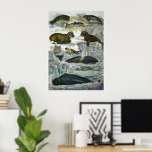 Vintage Wale, Siegel und Walrusse, Meerestiere Poster (Heimbüro)