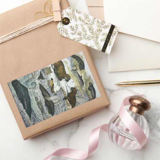 Vintage Wale, Siegel und Walrusse, Meerestiere Rechteckiger Aufkleber (Schenken)