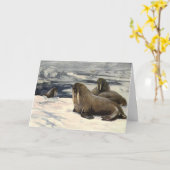 Vintage Walrusse im arktischen Schnee von CE Swan Karte (Gelbe Blume)