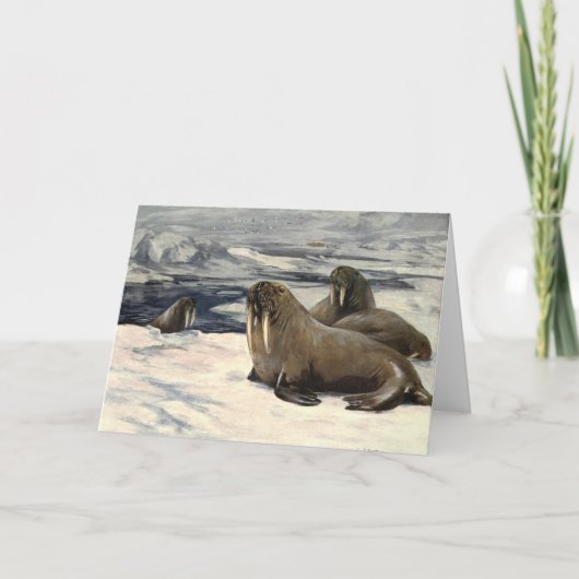 Vintage Walrusse im arktischen Schnee von CE Swan Karte (Vorderseite)