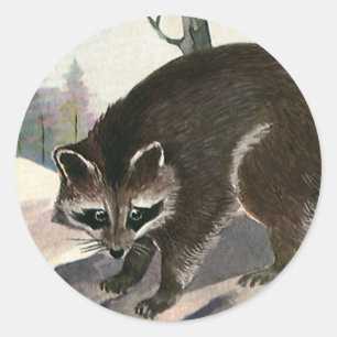 Vintage-Waschbär, wilde Waldtiere Runder Aufkleber