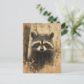 Vintage Waschbären Portrait Postkarte (Stehend Vorderseite)