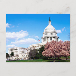 Vintage Washington DC Postcard Postkarte