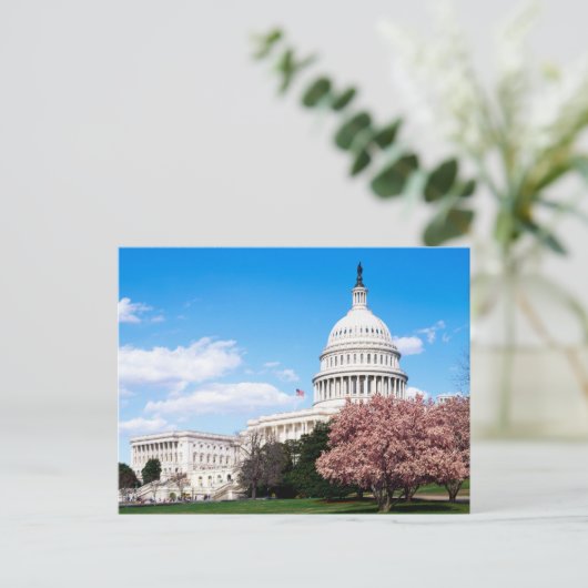 Vintage Washington DC Postcard Postkarte (Stehend Vorderseite)
