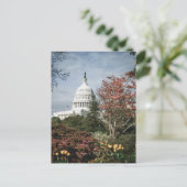 Vintage Washington DC Postcard Postkarte (Stehend Vorderseite)