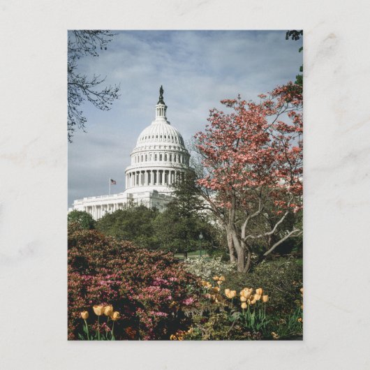 Vintage Washington DC Postcard Postkarte (Vorderseite)
