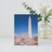 Vintage Washington DC Postcard Postkarte (Stehend Vorderseite)
