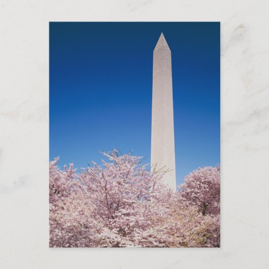 Vintage Washington DC Postcard Postkarte (Vorderseite)