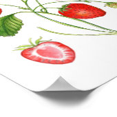 Vintage Wasserfarbe Erdbeere botanisches Poster (Ecke)