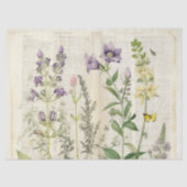 Vintage Wasserfarbe Natürliche Wildblume Seidenpapier (Vorderseite)