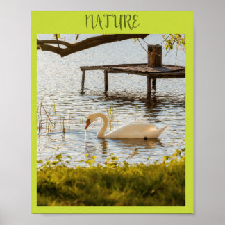 Vintage-Wasserfarben-Ente in der Natur Leinwand Ku Poster