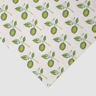 Vintage Wasserfarben-Limetten auf Ecru Seidenpapier