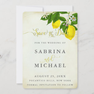 Vintage Wasserfarben Save the Date