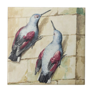 Vintage-Wasserfarbenkunst eines roten und grauen V Fliese