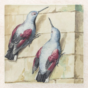 Vintage-Wasserfarbenkunst Roter und Grauer Vogel Glasuntersetzer