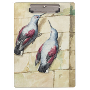 Vintage-Wasserfarbenkunst Roter und Grauer Vogel Klemmbrett