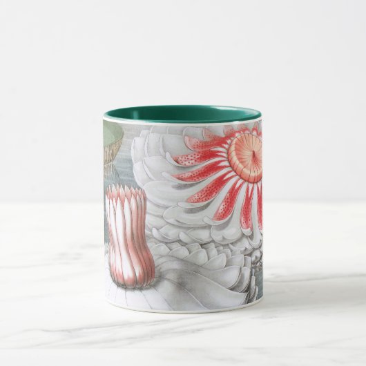 Vintage Wasserlilien Blume im Garten Tasse (Zentrum)