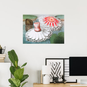 Vintage‑Wasserlilienblumen in einem Teich Poster