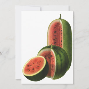 Vintage Wassermelonen Große Runde, Bio Lebensmitte