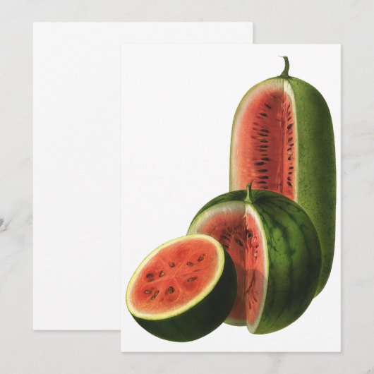 Vintage Wassermelonen Große Runde, Bio Lebensmitte (Vorne/Hinten)