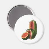Vintage Wassermelonen Große Runde, Bio Lebensmitte Magnet (Vorderseite/Rückseite)