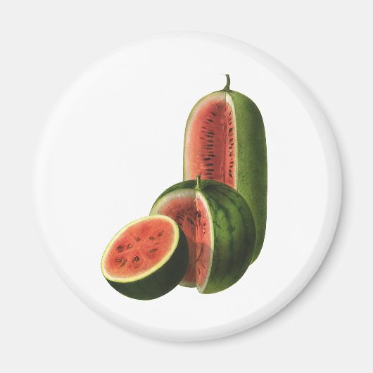 Vintage Wassermelonen Große Runde, Bio Lebensmitte Magnet (Vorne)