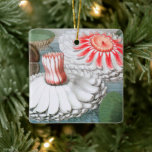 Vintage Waterlily Flowers, Waterlilies in a Pond Keramikornament<br><div class="desc">Vintage illustration botanical nature design featuring pink and white waterlily flowers floating in a pond.</div>